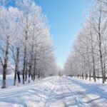 Mùa Đông Bắt Đầu Từ Tháng Mấy? Giải Thích Dễ Hiểu