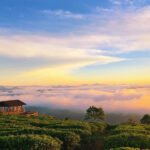 Các Mùa Trong Năm Ở Việt Nam – Đặc Trưng Khí Hậu Từng Vùng