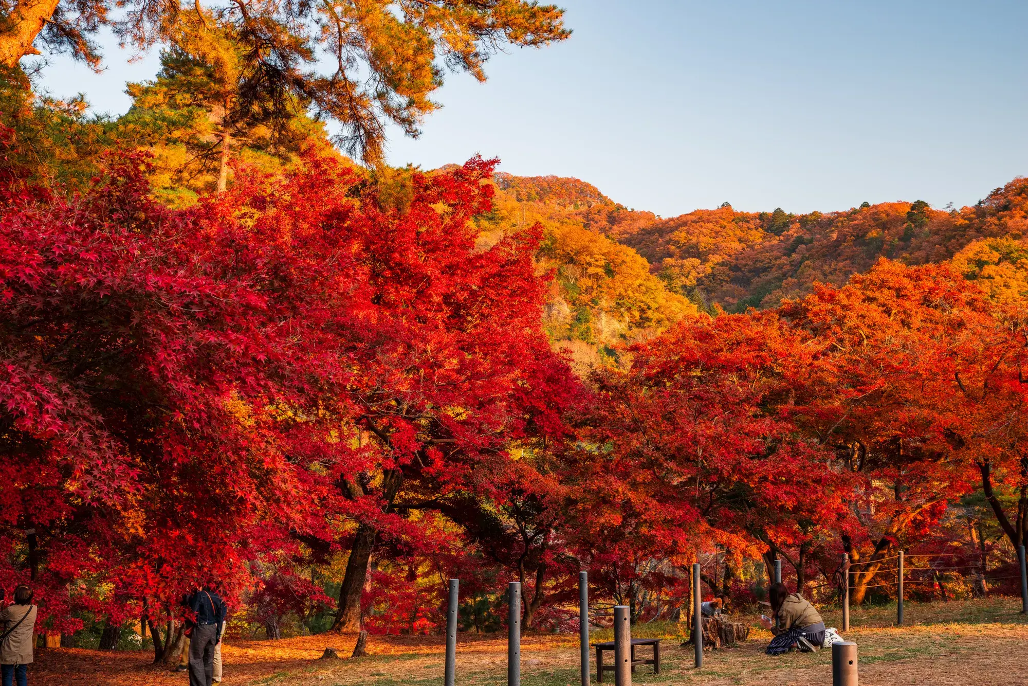 Mùa Thu Bắt Đầu Vào Tháng Mấy