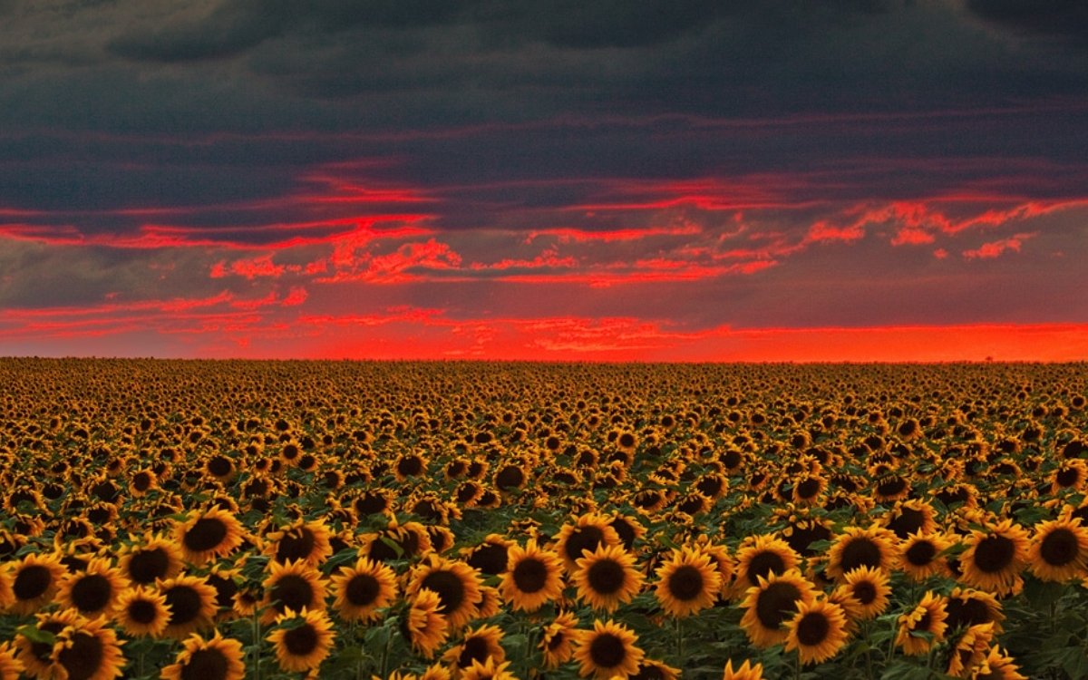 Cơ chế hình thành hoàng hôn