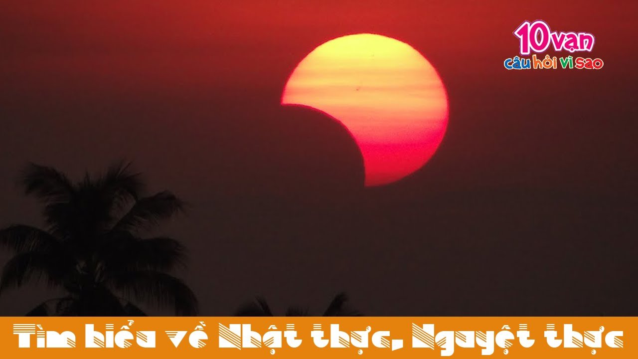 Nhật thực là gì