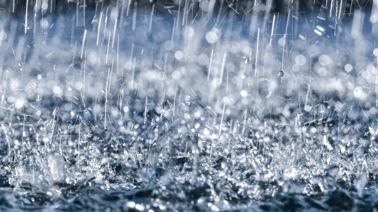 Tác hại của mưa axit đối với môi trường