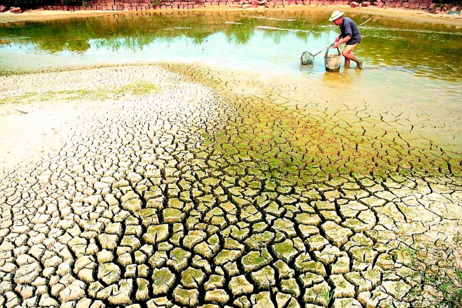 Hiện tượng xâm nhập mặn là gì