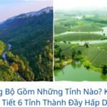 Bắc Trung Bộ Gồm Những Tỉnh Nào? Khám Phá Chi Tiết 6 Tỉnh Thành Đầy Hấp Dẫn!
