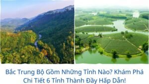 Bắc Trung Bộ Gồm Những Tỉnh Nào? Khám Phá Chi Tiết 6 Tỉnh Thành Đầy Hấp Dẫn!