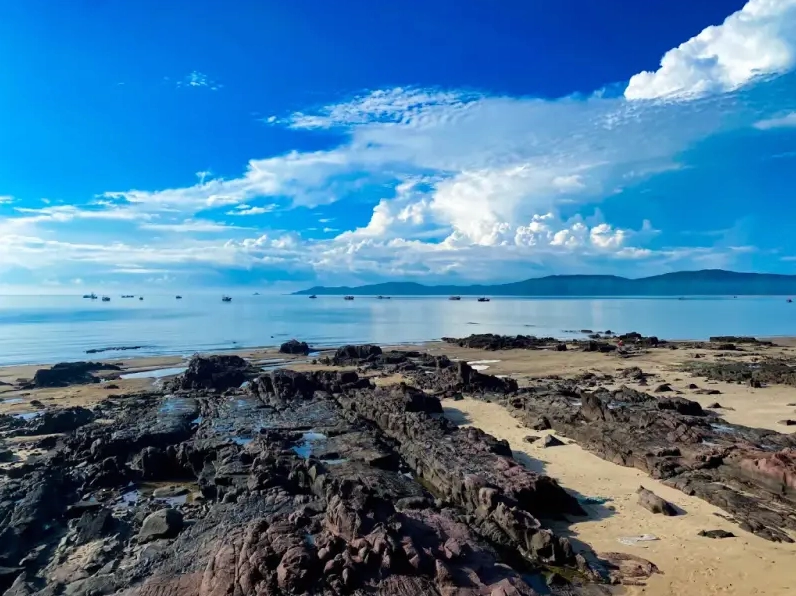 Bãi biển Trà Cổ hoang sơ, thơ mộng