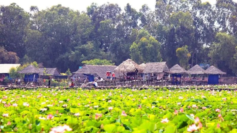 dac-diem-chung-cua-vung-dong-thap-muoi