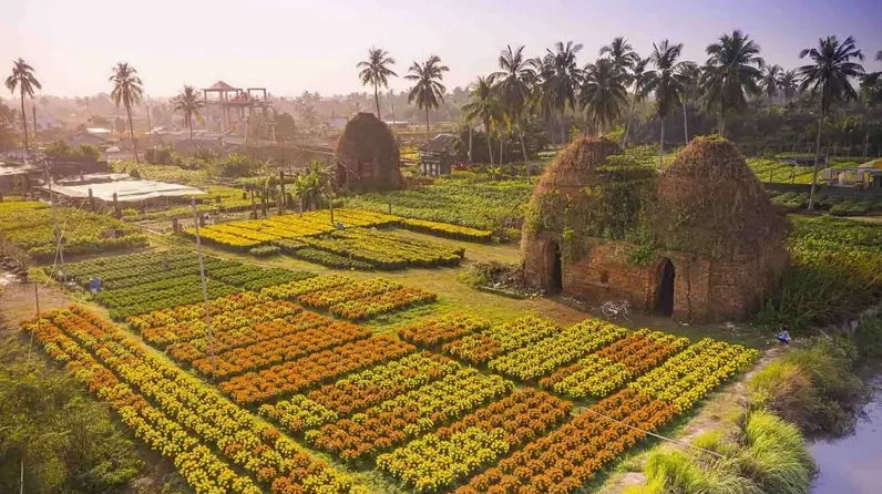 đồng tháp