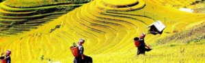 Khám phá 8 điểm du lịch tại Yên Bái năm 2026: Giải tỏa stress hiệu quả!