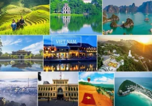 Khám Phá Toàn Diện: Những <strong>Địa Điểm Du Lịch Tại Việt Nam</strong> Đáng Trải Nghiệm 2026