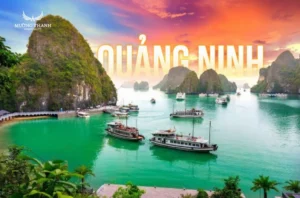 Khám Phá Top 10+ Điểm Du Lịch Tại Quảng Ninh Hút Khách Nhất 2026