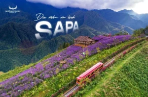 Khám Phá Top Ẩn Số Các Điểm Du Lịch Tại Sapa Hút Hồn Mọi Lữ Khách 2026