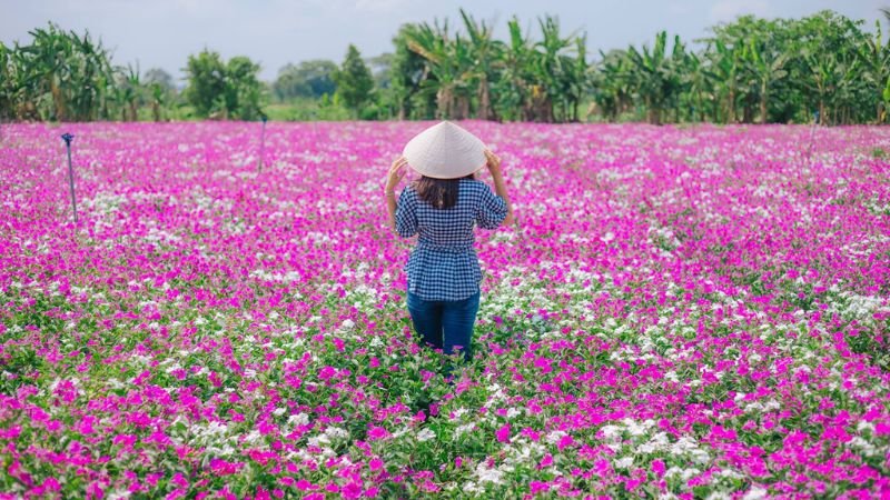 khi-hau-tai-binh-thanh-dong-phu-tan-an-giang