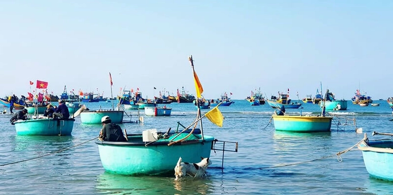 Làng chài Mũi Né là nơi cảm nhận rõ nhất cuộc sống người dân nghề biển.