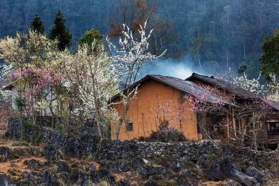 Phố Cáo là địa điểm du lịch Hà Giang lý tưởng cho bạn chiêm ngưỡng những mùa hoa Tây Bắc