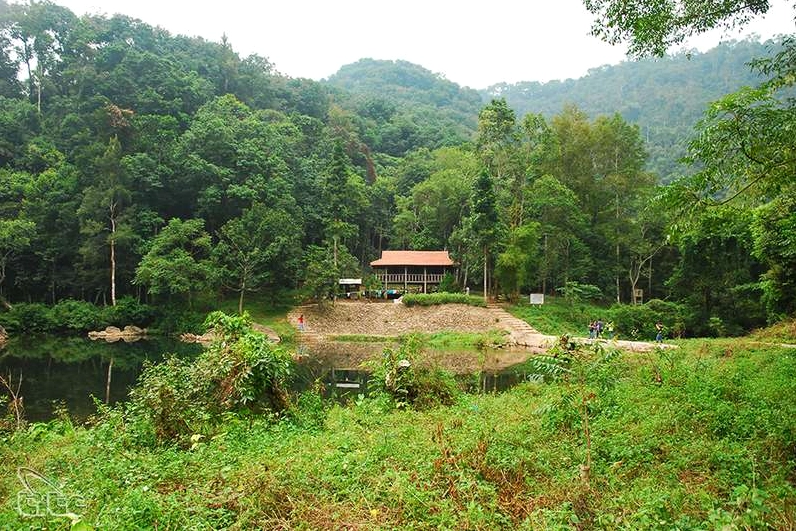Rừng nguyên sinh Khe Rỗ