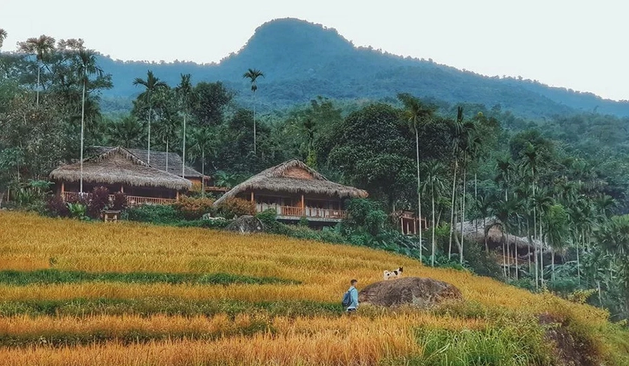 Thanh Hoá là địa điểm du lịch gần gũi với thiên nhiên