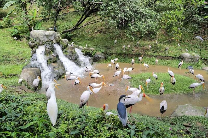 Thành phố Kuala Lumpur với mảng xanh tươi mát hài hòa giữa kiến trúc hiện đại