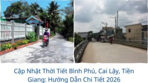 Cập Nhật Thời Tiết Bình Phú, Cai Lậy, Tiền Giang: Hướng Dẫn Chi Tiết 2026