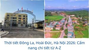 Thời tiết Đông La, Hoài Đức, Hà Nội 2026: Cẩm nang chi tiết từ A-Z