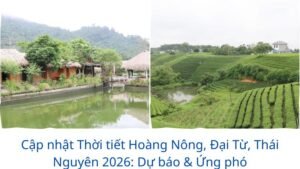 Cập nhật Thời tiết Hoàng Nông, Đại Từ, Thái Nguyên 2026: Dự báo & Ứng phó