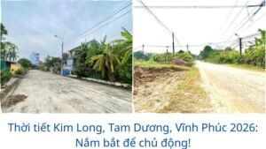 Thời tiết Kim Long, Tam Dương, Vĩnh Phúc 2026: Nắm bắt để chủ động!