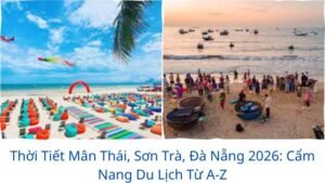 Thời Tiết Mân Thái, Sơn Trà, Đà Nẵng 2026: Cẩm Nang Du Lịch Từ A-Z