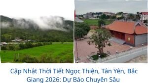 Cập Nhật Thời Tiết Ngọc Thiện, Tân Yên, Bắc Giang 2026: Dự Báo Chuyên Sâu & Lời Khuyên Hữu Ích
