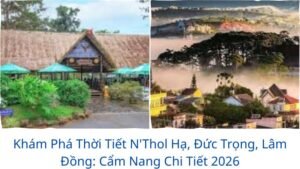 Khám Phá Thời Tiết N’Thol Hạ, Đức Trọng, Lâm Đồng: Cẩm Nang Chi Tiết 2026