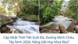 Cập Nhật Thời Tiết Suối Đá, Dương Minh Châu, Tây Ninh 2026: Nắng Gắt Hay Mưa Rào?