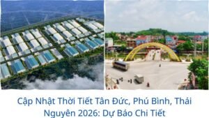 Cập Nhật Thời Tiết Tân Đức, Phú Bình, Thái Nguyên 2026: Dự Báo Chi Tiết