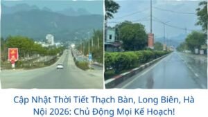 Cập Nhật Thời Tiết Thạch Bàn, Long Biên, Hà Nội 2026: Chủ Động Mọi Kế Hoạch!