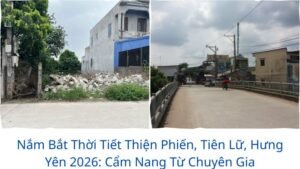 Nắm Bắt Thời Tiết Thiện Phiến, Tiên Lữ, Hưng Yên 2026: Cẩm Nang Từ Chuyên Gia
