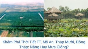 Khám Phá Thời Tiết TT. Mỹ An, Tháp Mười, Đồng Tháp: Nắng Hay Mưa Giông?
