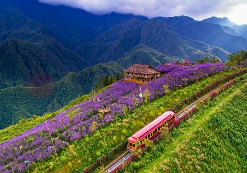 Thung Lũng Mường Hoa