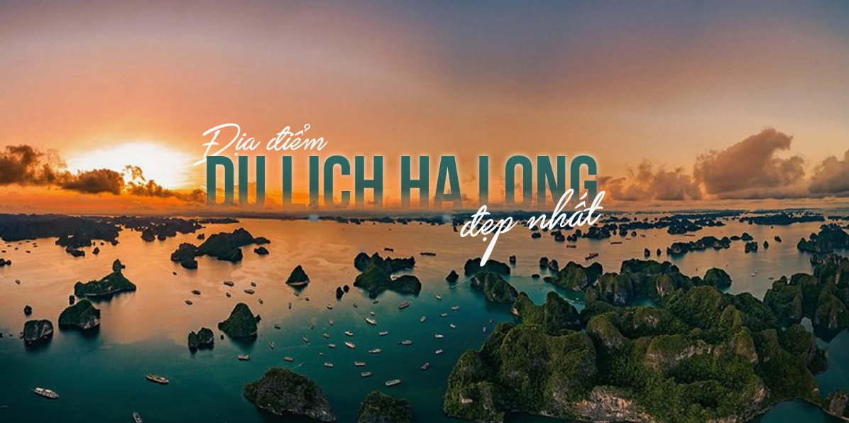 Toàn cảnh Vịnh Hạ Long – một trong những điểm tham quan tại Hạ Long nổi bật nhất