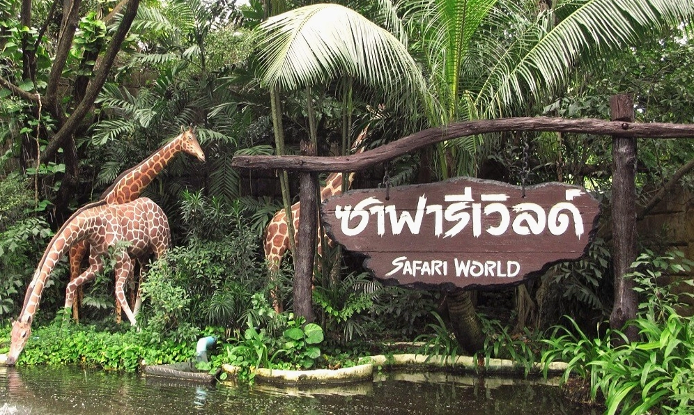 Trải nghiệm Safari World Bangkok