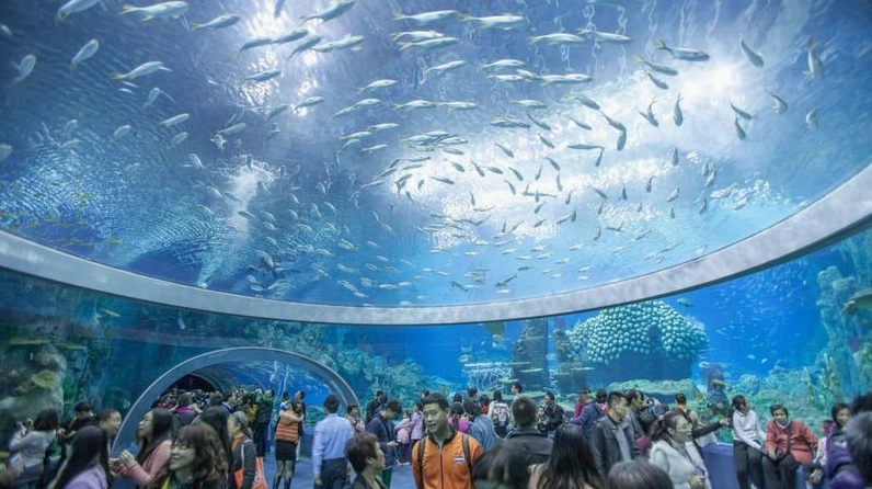 viện hải dương học nha trang