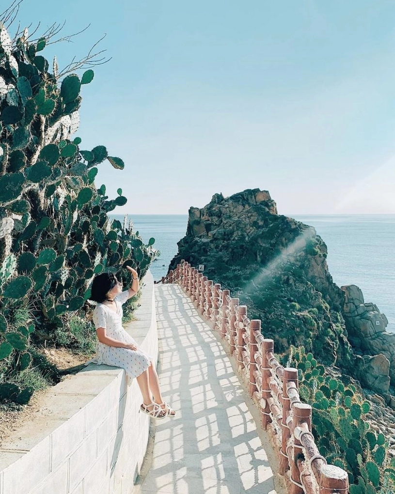Xương rồng tại Eo Gió