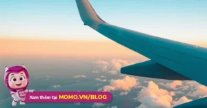 Bí kíp 2026: 6 <strong>Cách Săn Vé Máy Bay Giá Rẻ</strong> Từ Chuyên Gia!