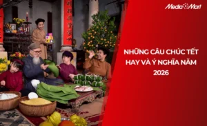 Bí Quyết Chúc Tết 2026 Ấn Tượng: Các Cách Chúc Tết Hay Nhất Xuân Bính Ngọ