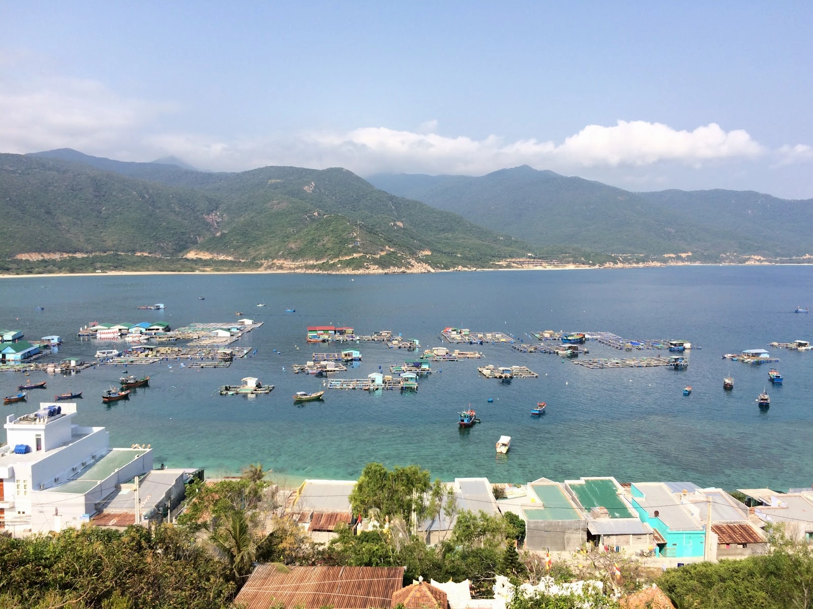 “Bức tranh” Bình Hưng tuyệt đẹp