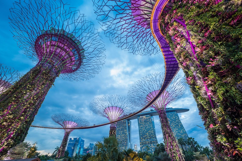 Chi phí du lịch Singapore