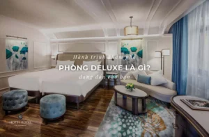 Deluxe là gì? Khám phá phòng Deluxe đẳng cấp trong khách sạn 2026