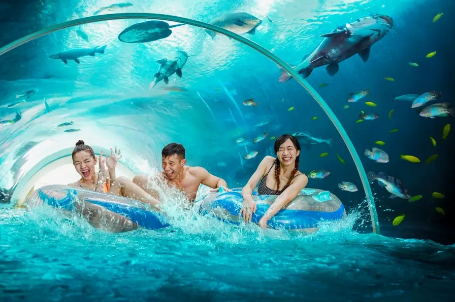 Du khách vui chơi thỏa thích tại Adventure Cove Waterpark