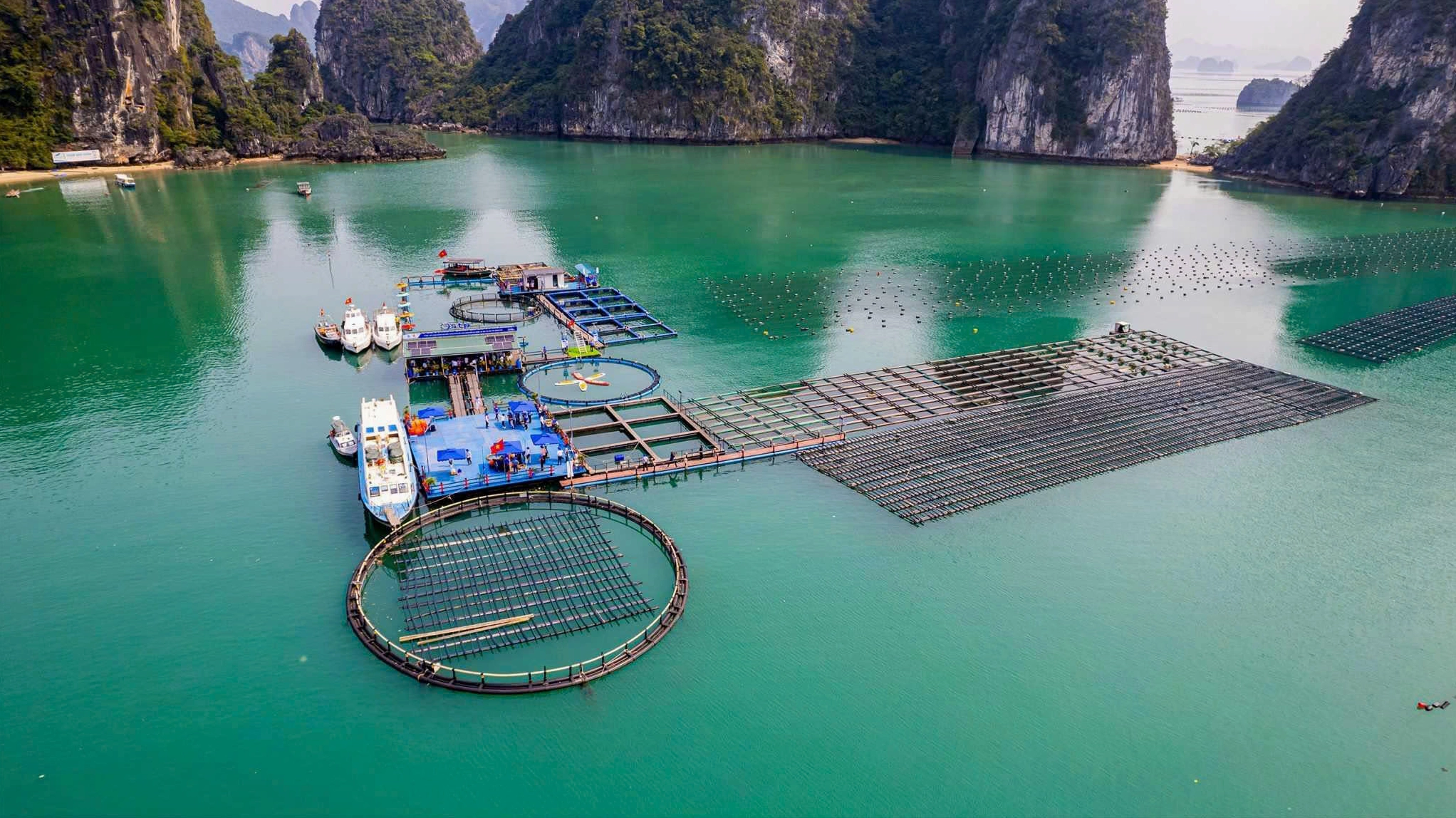 Du lịch Quảng Ninh 2026