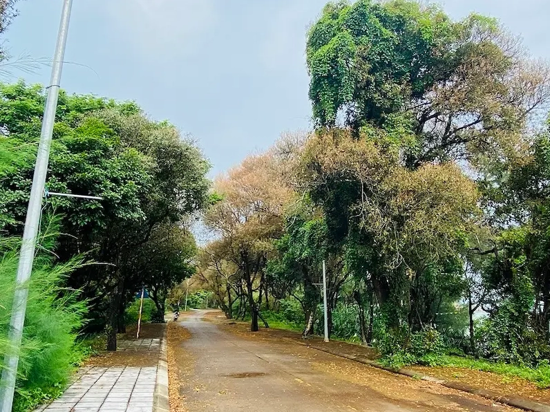Hoàng hôn lãng mạn trên đảo Cô Tô