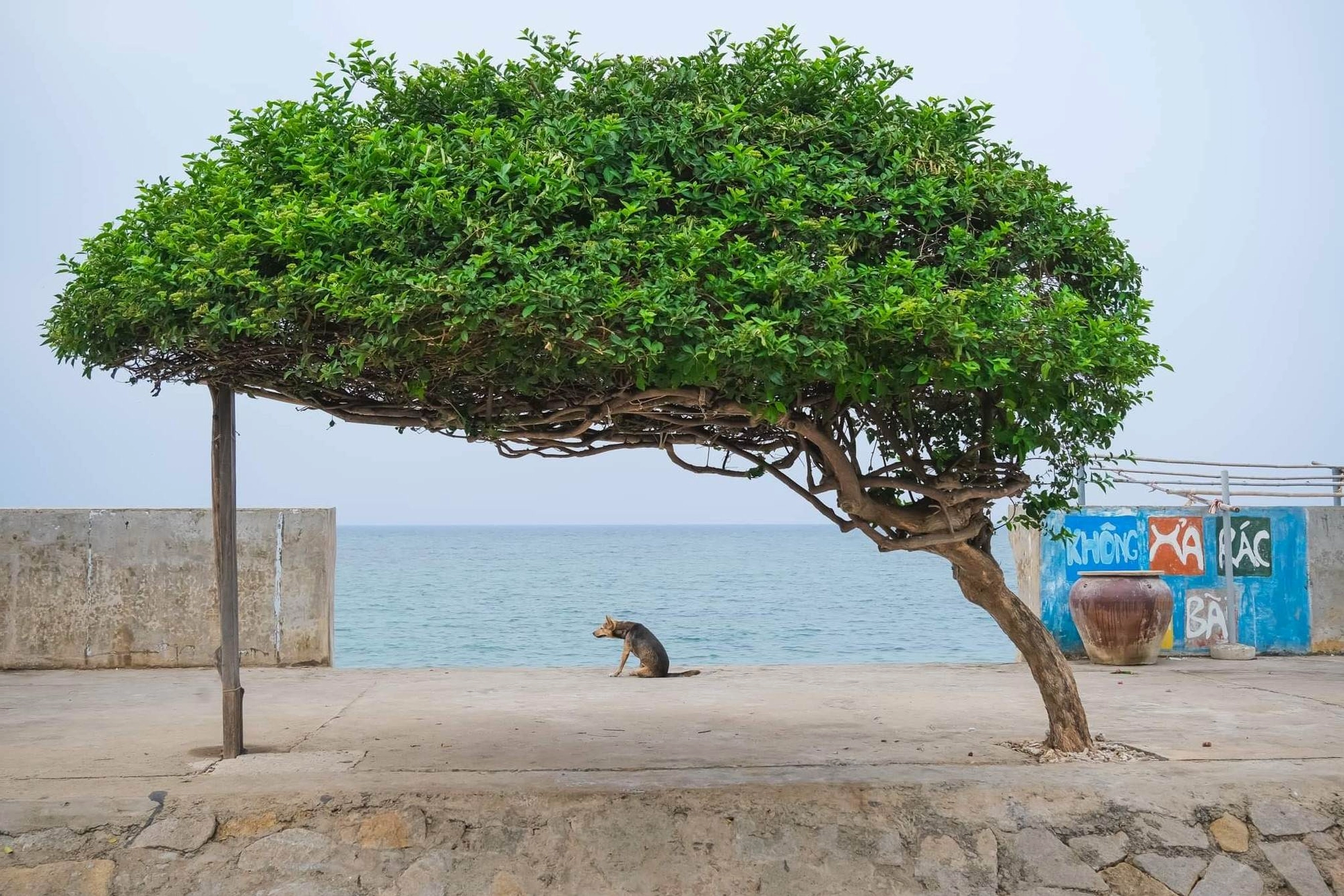 Khung cảnh thiên nhiên hoang sơ, hùng vĩ của huyện đảo Phú Quý