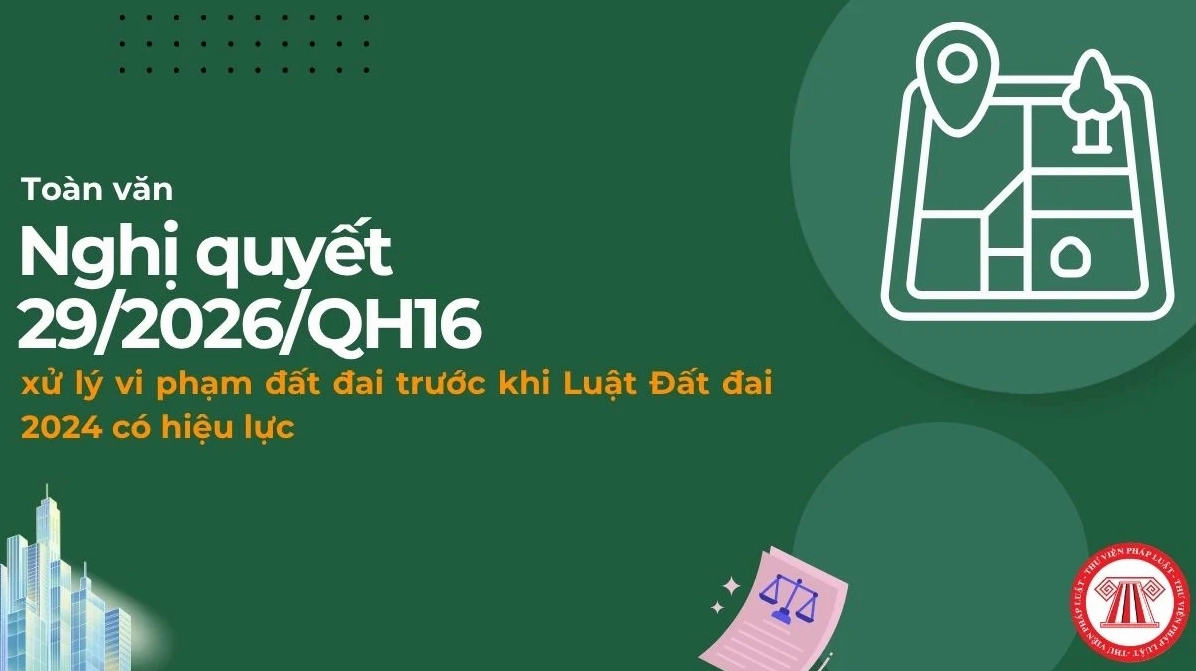 Khung pháp lý cho giấy tờ đi máy bay nội địa
