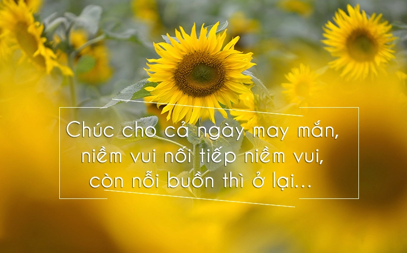 Lời chúc may mắn cho ngày mới thêm tươi sáng